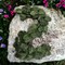6-Foot Magnolia Leaf Christmas Garland with Realistic Silk Leaves - 2-Pack, Elegant Greenery for Home Décor & Event Styling - Year-Round Charm, Floral Home by Artificial Flowers